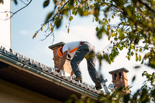 Best Storm Damage Roof Repair  in Lewiston, UT